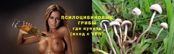 наркотики Бородино