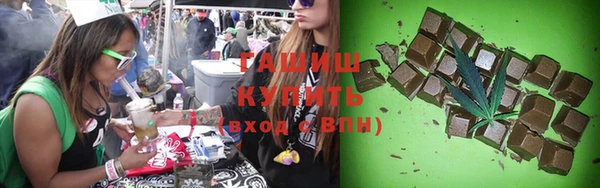 индика Верхний Тагил