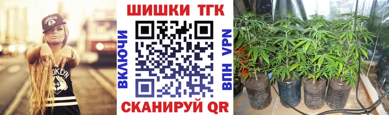 Бошки Шишки сатива  Купить закладки  Курчалой 